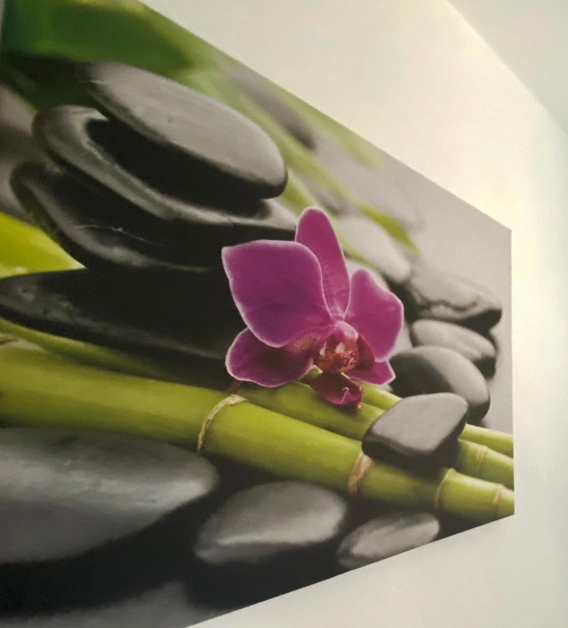 Four Flowers Apartman Siófok Eksteriør billede